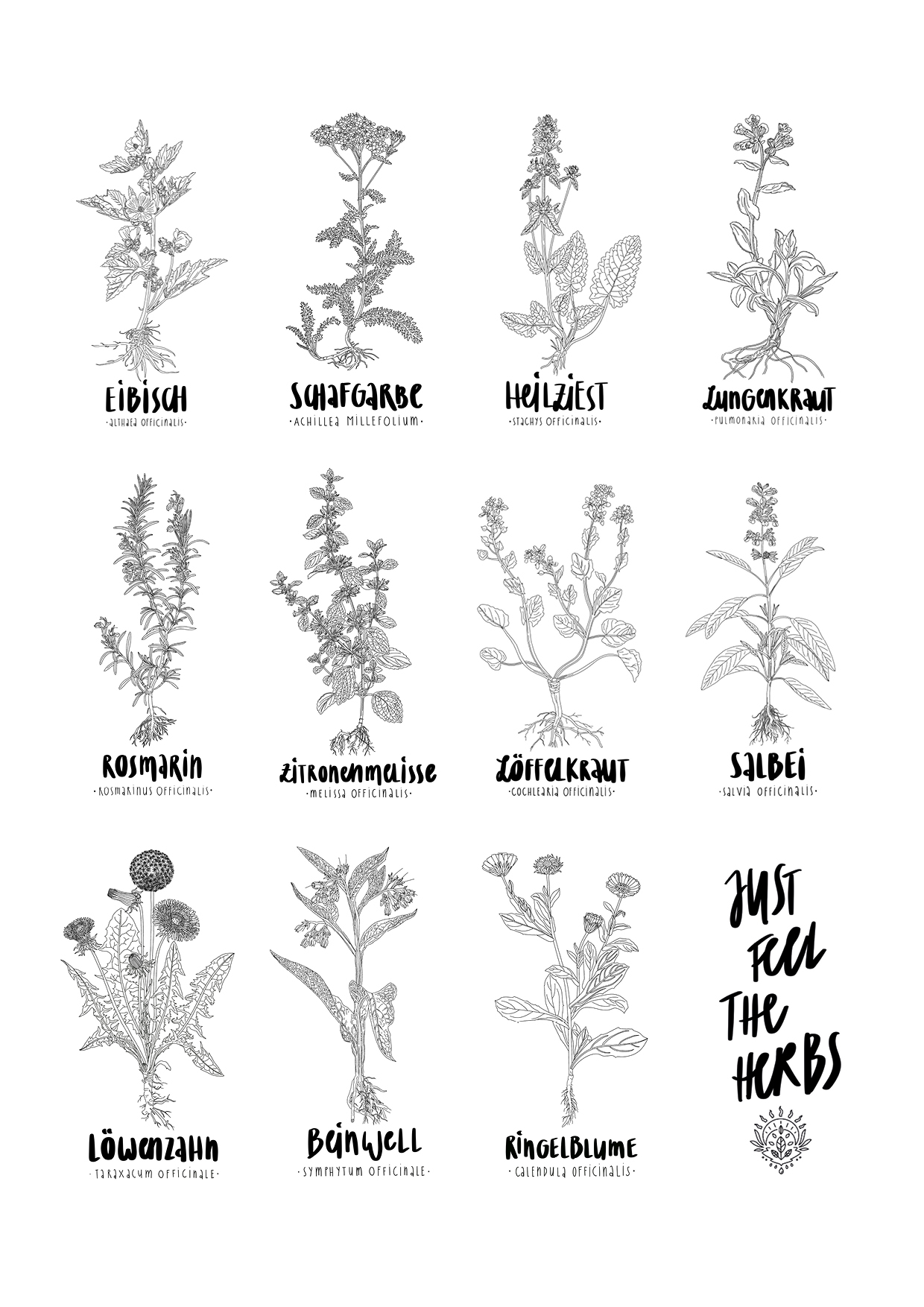 Imagebroschuere_Just-feel-the-herbs_Juli23