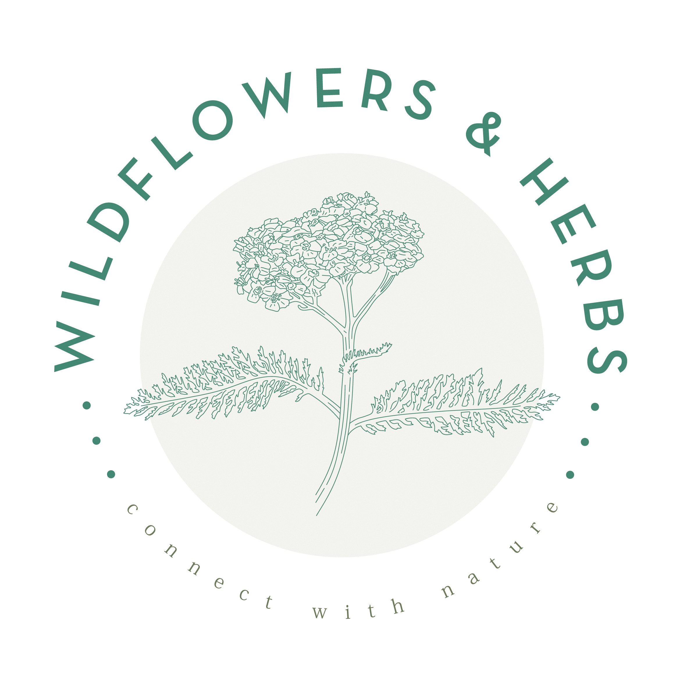 Wildflowers and herbs