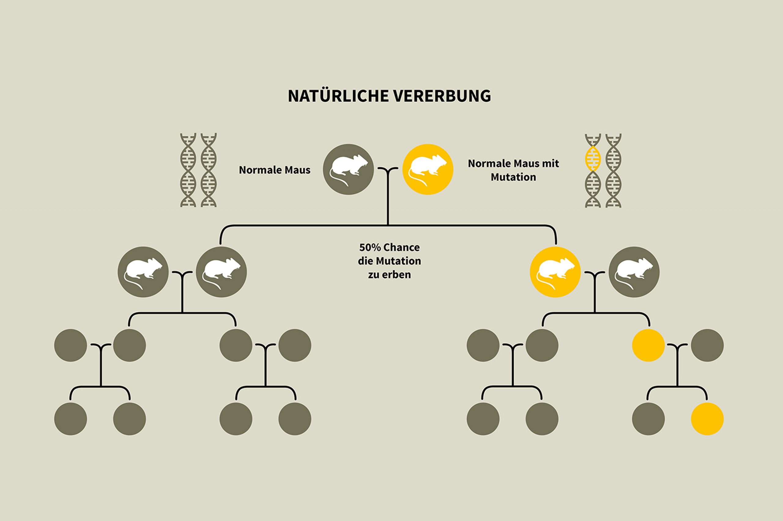 gentechnik_grafiken_neu1_groß