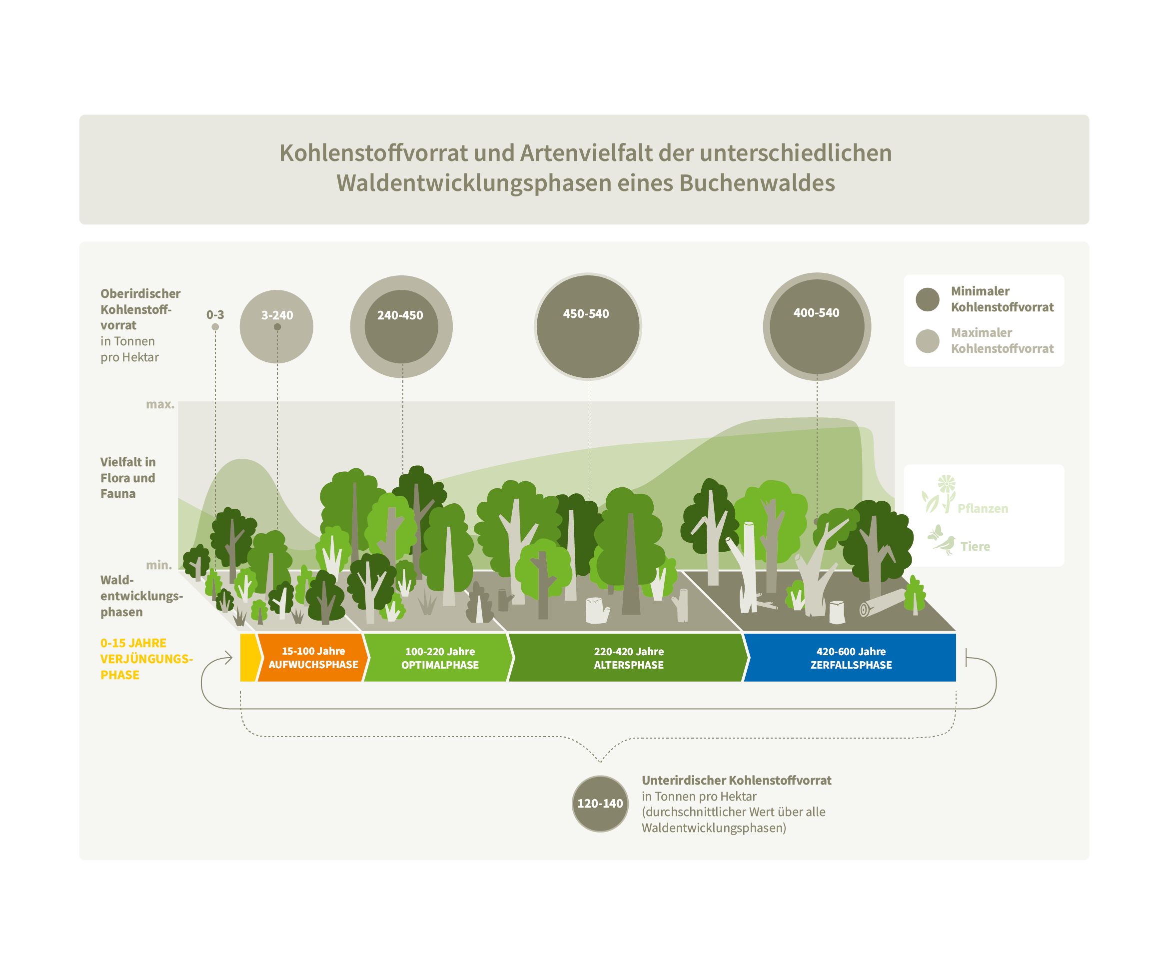 kohlenstoffvorrat_neu_final_neu_Zeichenfläche 1 Kopie
